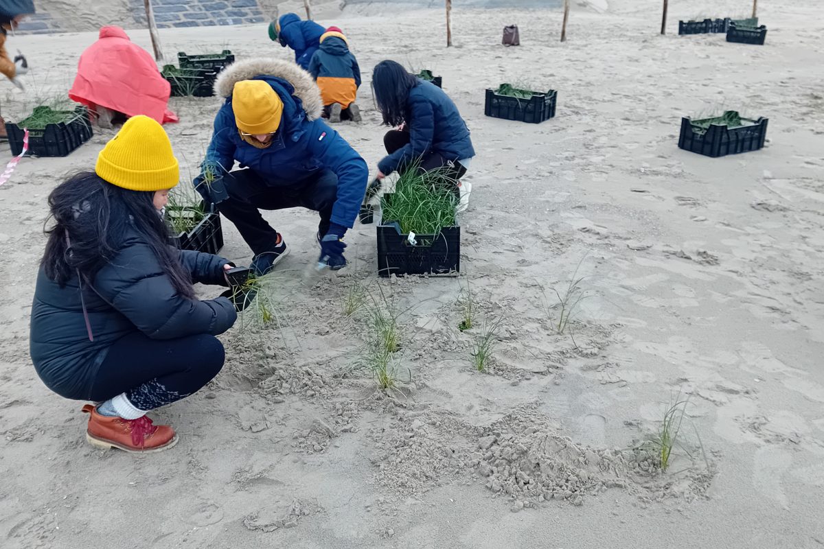 Hier werden die Pflänzlinge eingesetzt