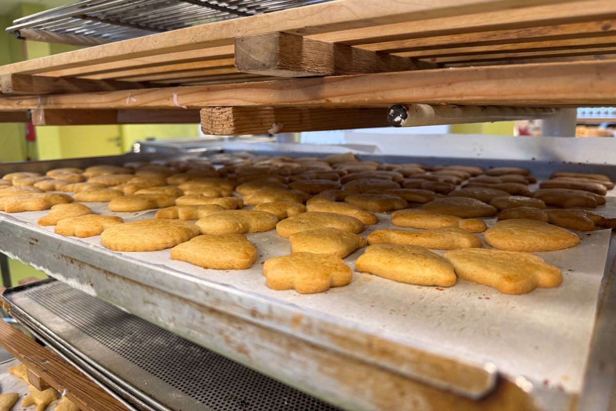 Plätzchen auf einem Backblech