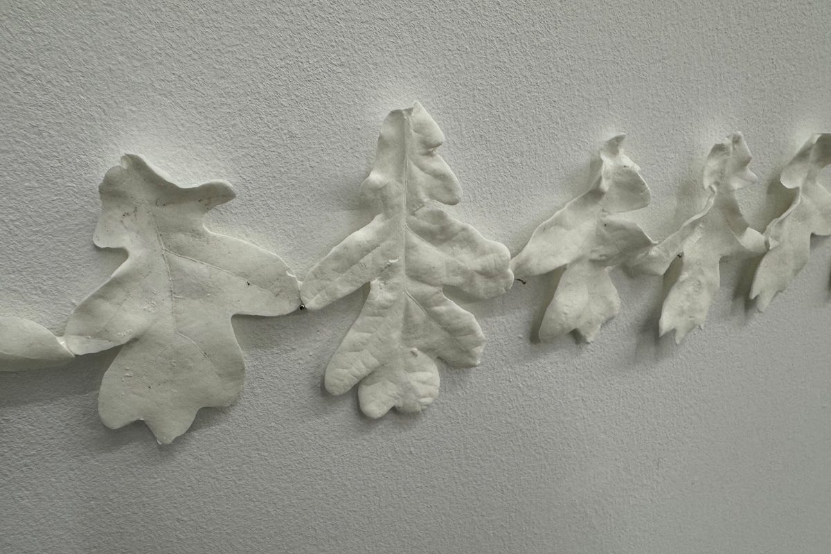 Eichenblätter, die von der südkoreanischen Künstlerin Jungwoon Kim in weiße Blätter verwandelt wurden