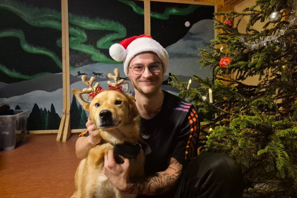 Johannes Lienne lebt im norwegischen Tromsö und und arbeitet mit Schlittenhunden