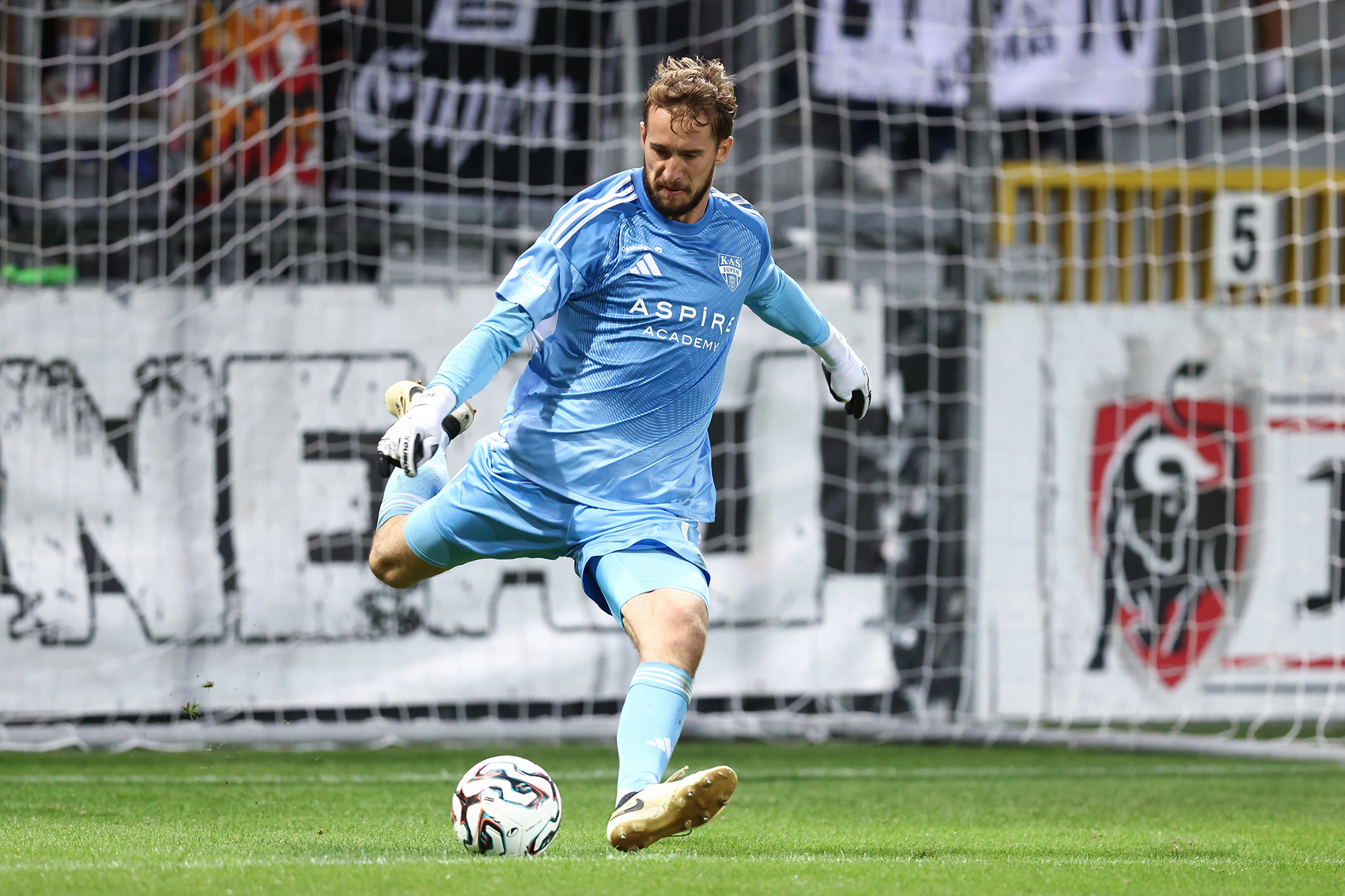 Ein-L-we-wird-Panda-Marco-Hiller-in-Eupen