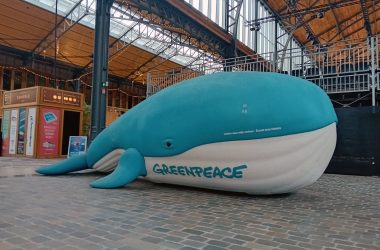 Walter der Wal von Greenpeace (