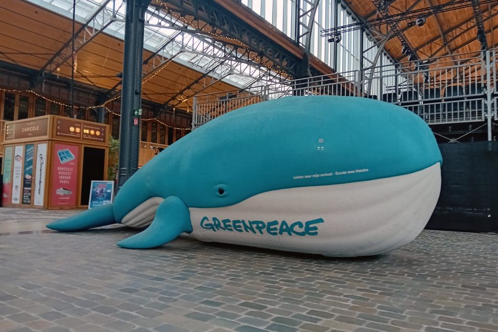 Walter der Wal von Greenpeace (