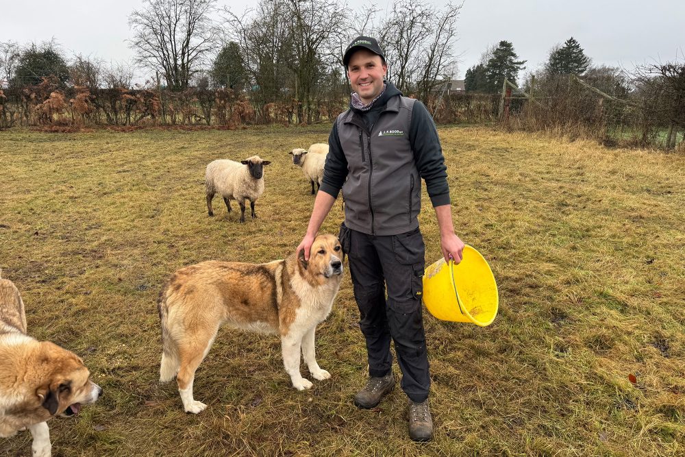 Michaël Rood und sein Herdenschutzhund