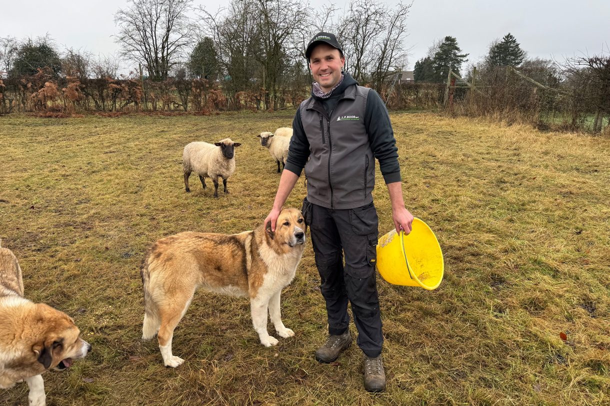 Michaël Rood und sein Herdenschutzhund