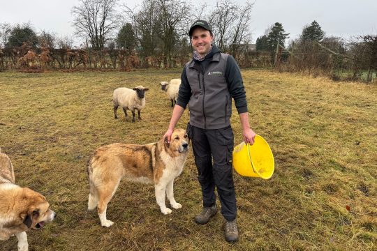 Michaël Rood und sein Herdenschutzhund