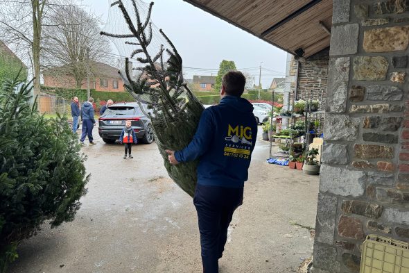 Verkauf von Tannenbäumen bei Michaël Rood in Jalhay