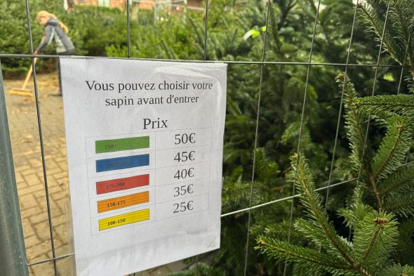 Preisliste beim Verkauf von Tannenbäumen bei Michaël Rood in Jalhay