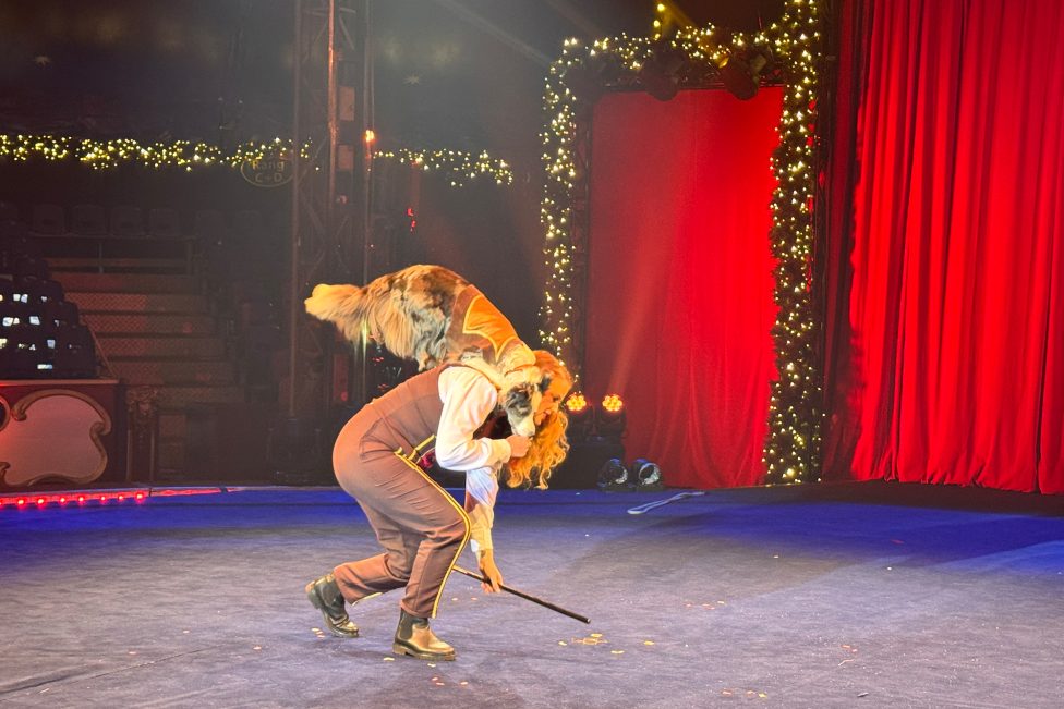 Hunde-Dompteurin beim Aachener Weihnachtscircus
