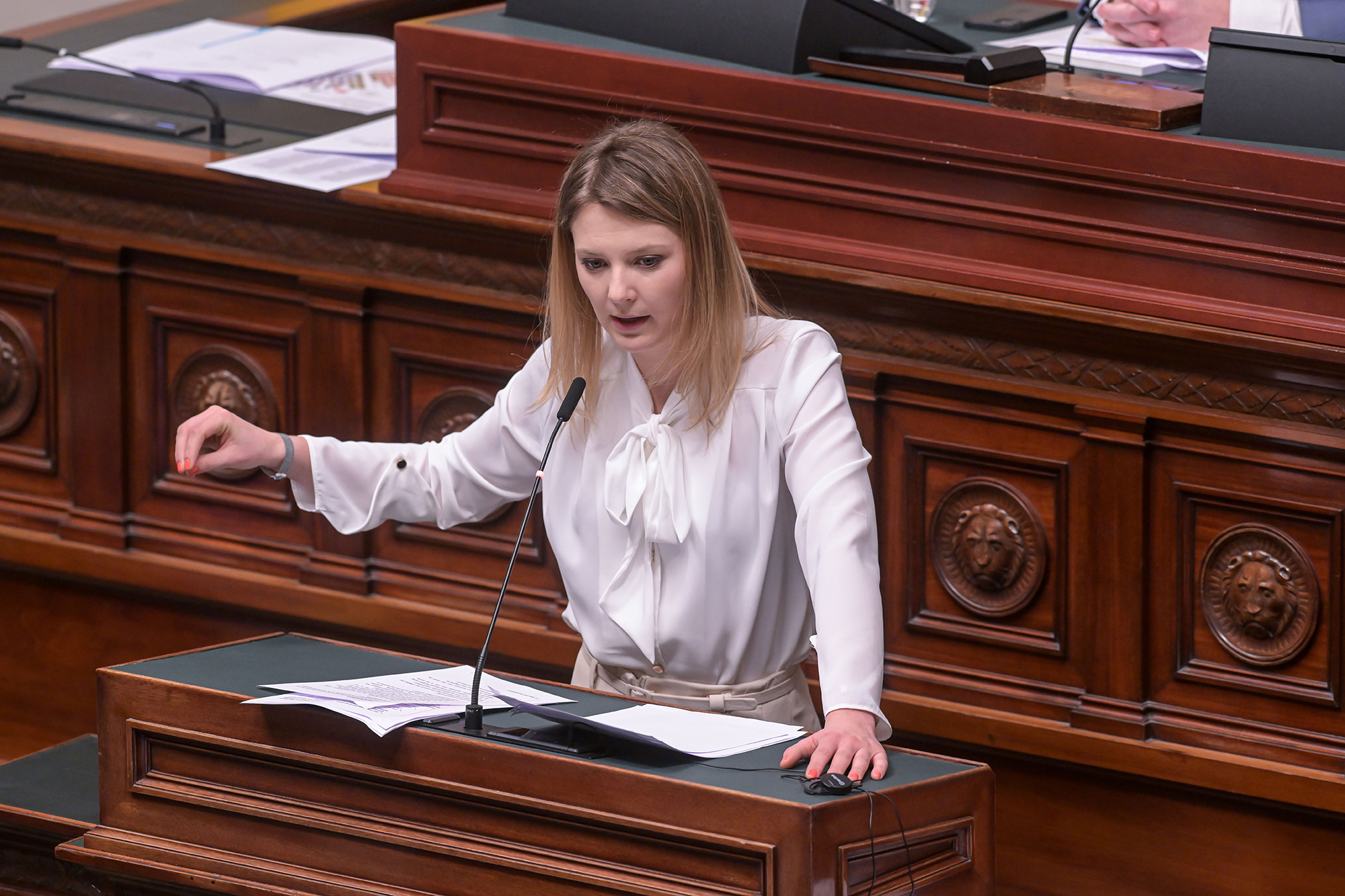 Vlaams-Belang-fordert-Illegalenpolizei-in-Belgien