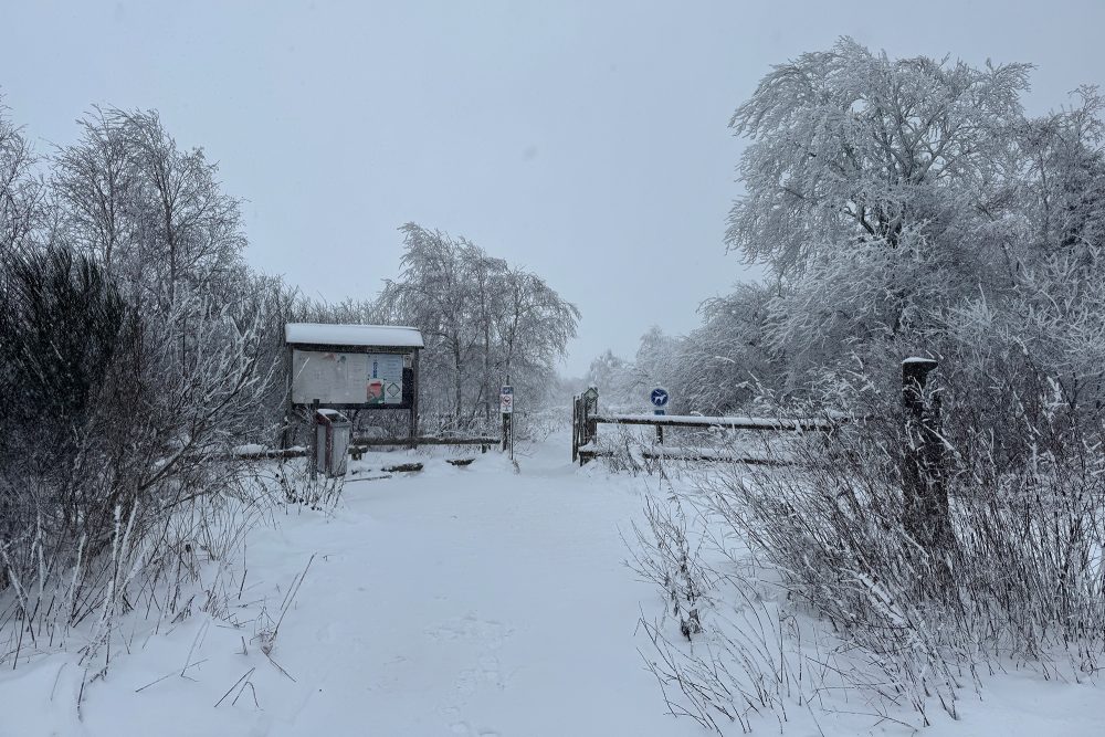 Eingang zu einem Spazierweg im verschneiten Hohen Venn