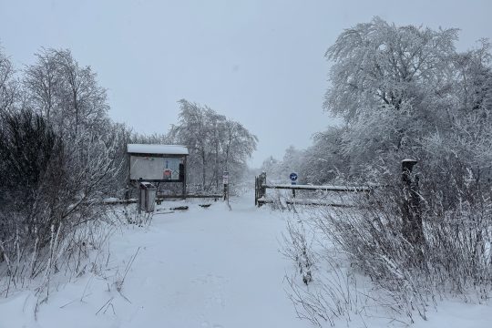 Eingang zu einem Spazierweg im verschneiten Hohen Venn