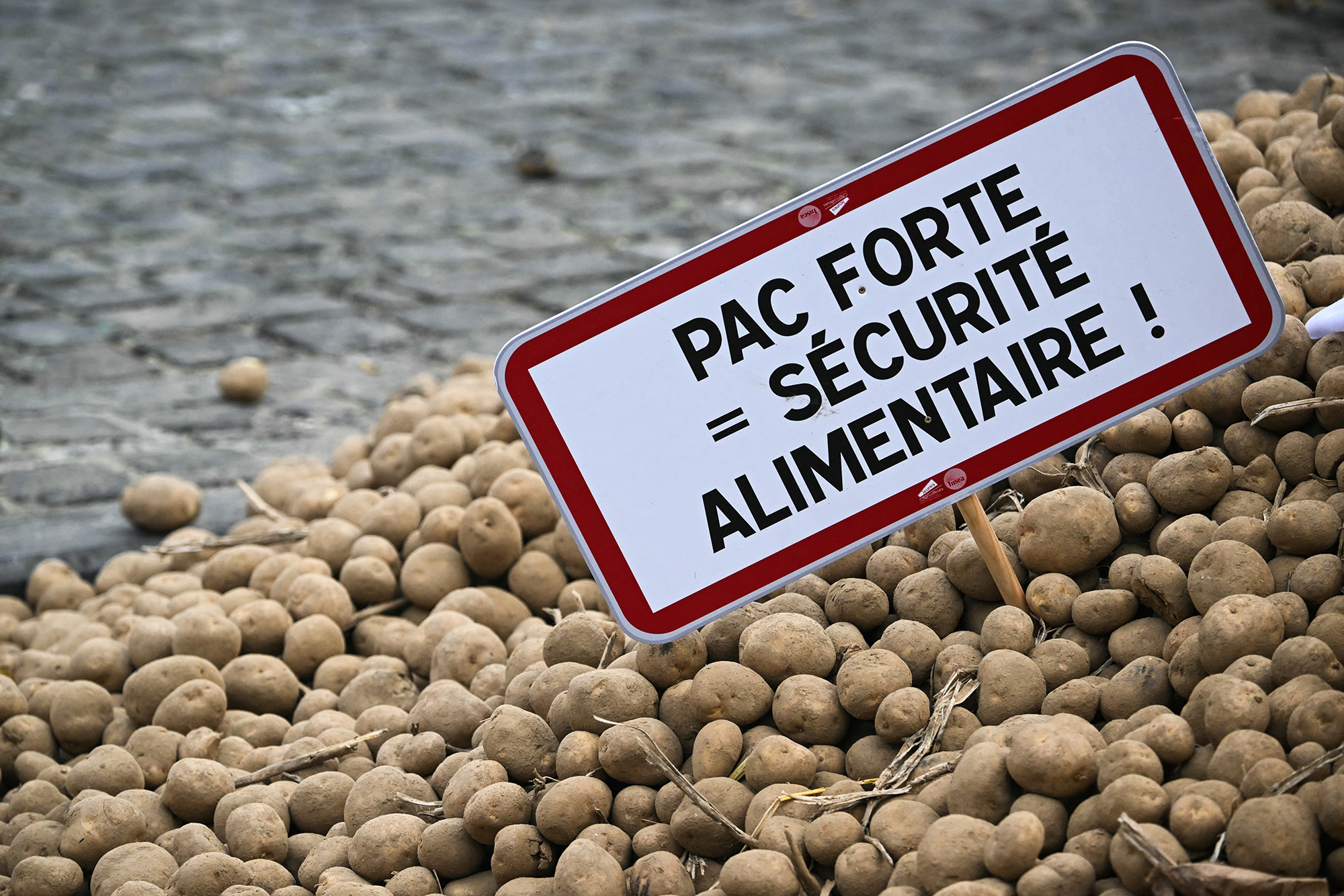 Mercosur-Protest-Kartoffel-Bauer-fordert-Gespr-ch-mit-K-nig-Philippe