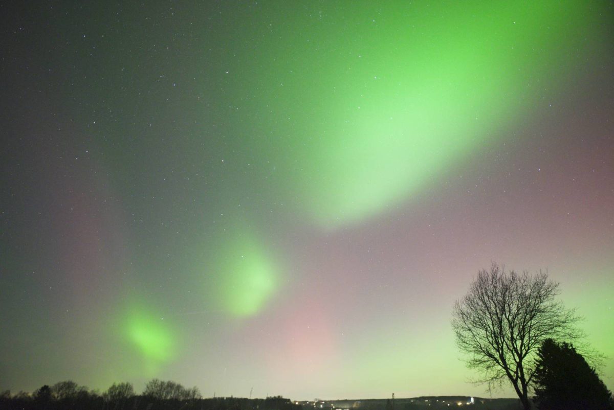 Polarlichter in Bosfagne am 19.Januar 2026 (Bild: Alexandre Lhoest)