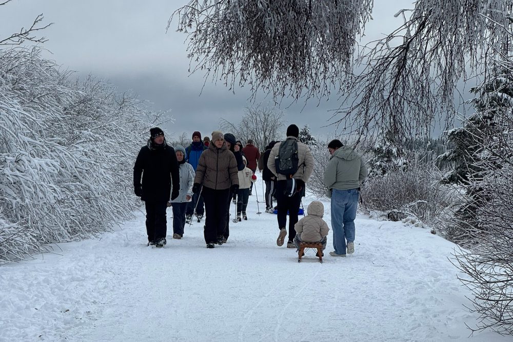 Schneetouristen auf Botrange