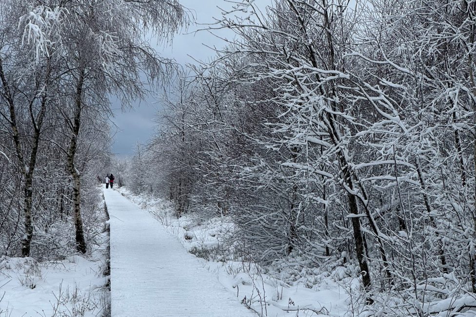 Schneetouristen auf Botrange