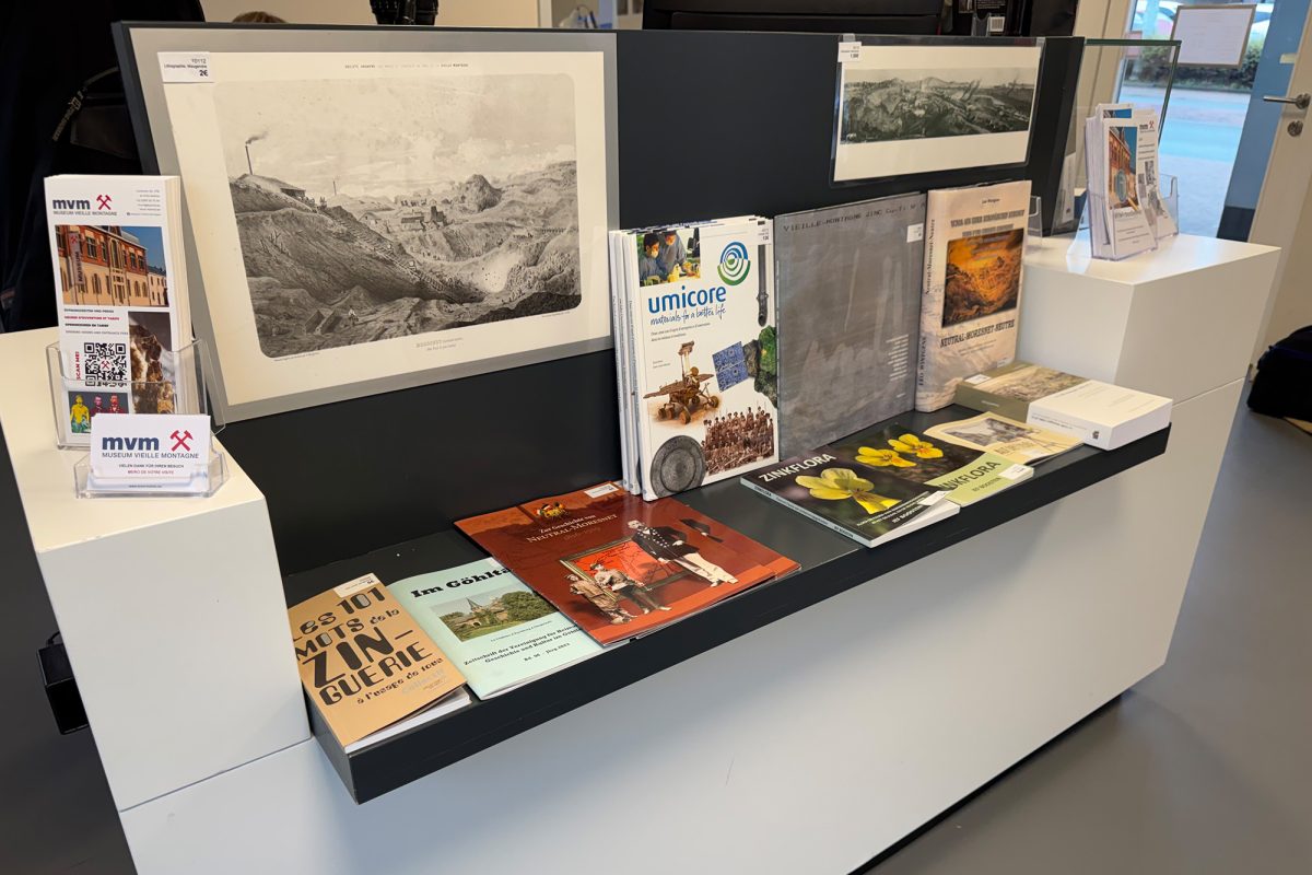 Auslage verschiedener Broschüren und Faltblätter mit touristischen Informationen