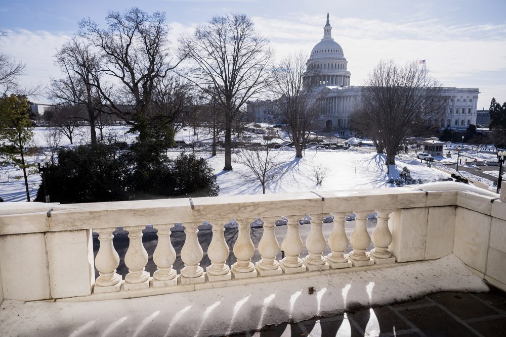 Die Kuppel des Capitols in Washington DC in verschneiter Landschaft