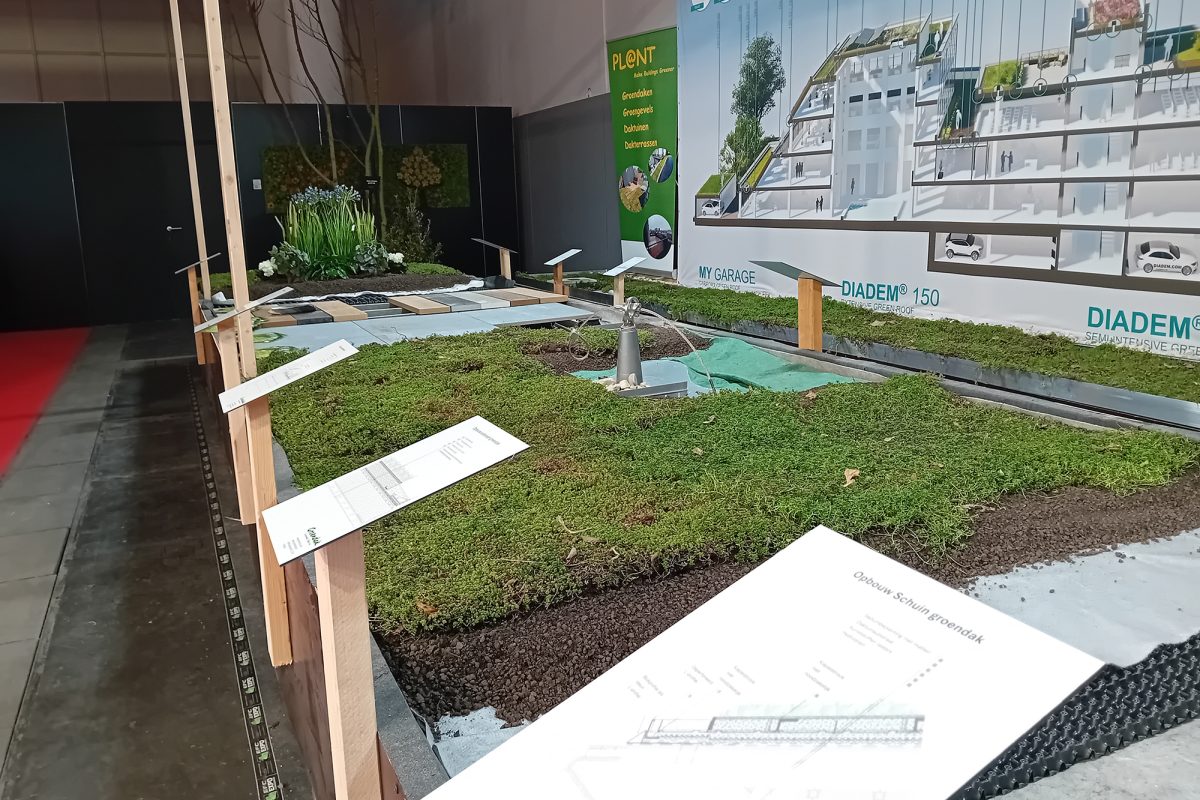 Stand für Dachbegrünung