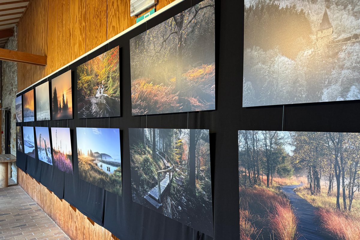 Bilder der Ausstellung “Lumières et Silences des Hautes Fagnes” im Naturparkzentrum Botrange