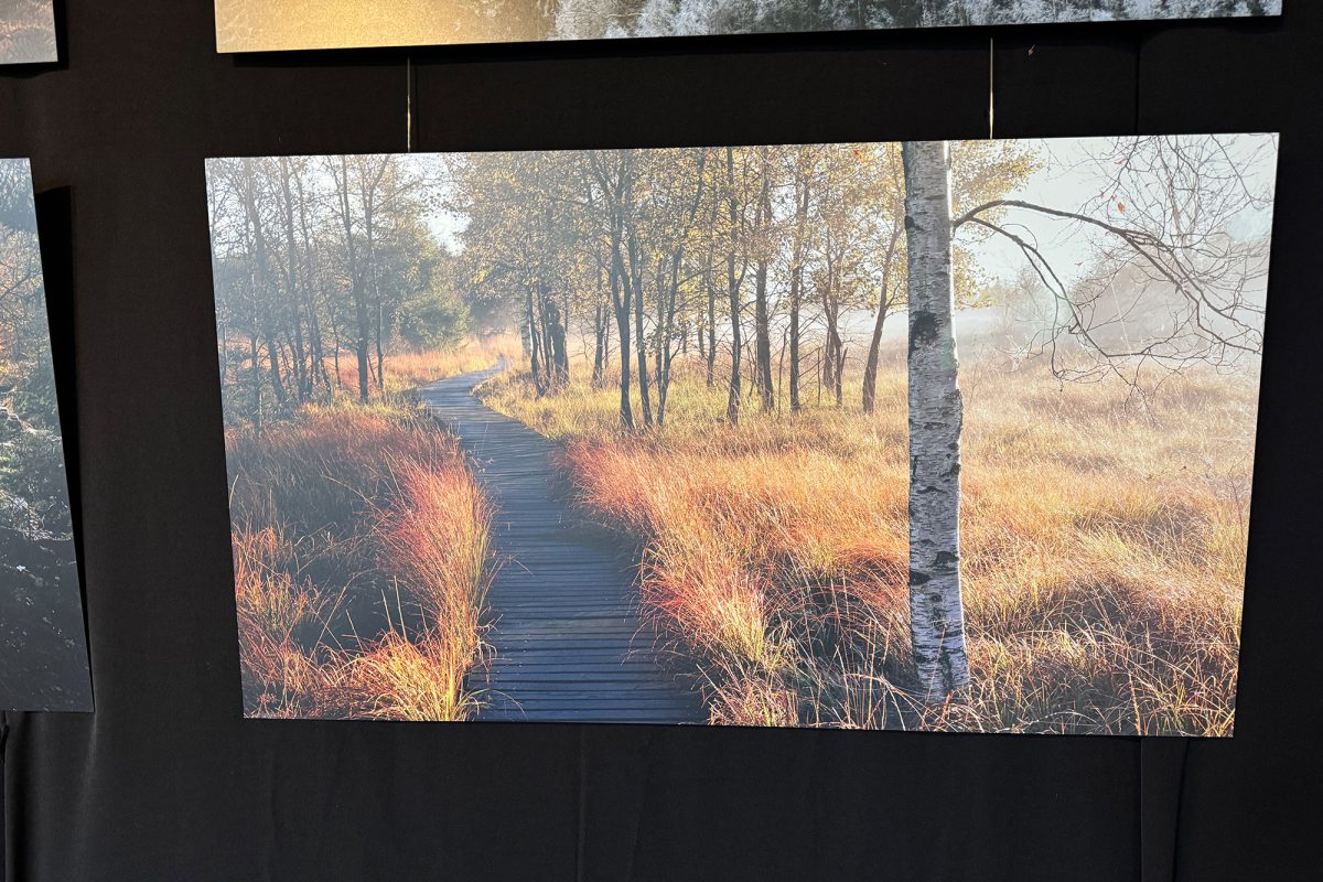 Bild der Ausstellung “Lumières et Silences des Hautes Fagnes” im Naturparkzentrum Botrange