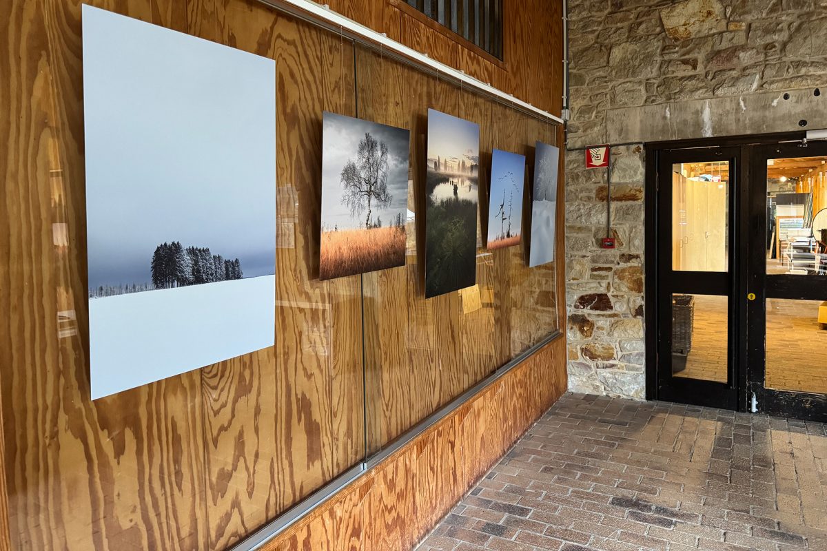 Bilder der Ausstellung “Lumières et Silences des Hautes Fagnes” im Naturparkzentrum Botrange