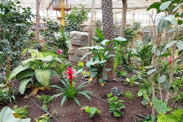 Tropenwelt "Edenya" im Tierpark Pairi Daiza