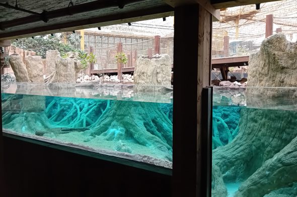 Wasserbecken in der Tropenwelt "Edenya" im Tierpark Pairi Daiza