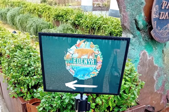 Tropenwelt "Edenya" im Tierpark Pairi Daiza