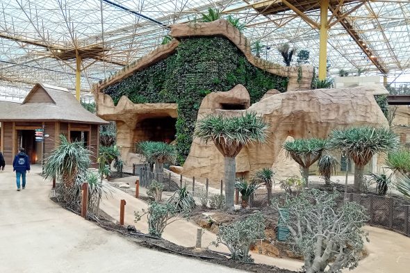 Tropenwelt "Edenya" im Tierpark Pairi Daiza