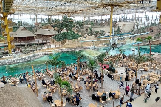 Tropenwelt "Edenya" im Tierpark Pairi Daiza