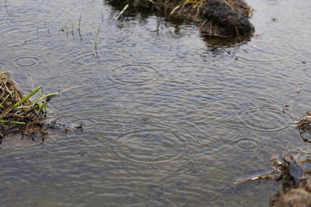 Regenwasser bedeckt den Boden