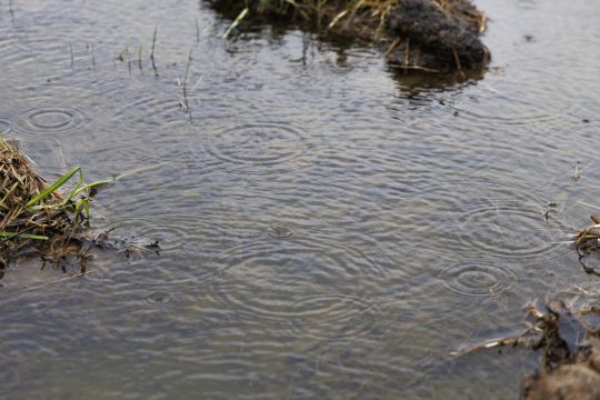 Regenwasser bedeckt den Boden