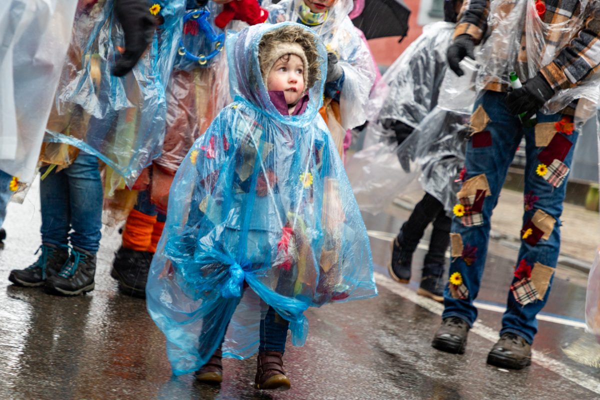 Rosenmontagszug in Eupen