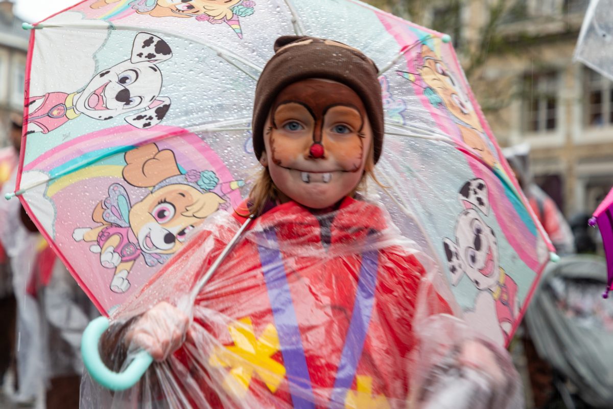 Rosenmontagszug in Eupen