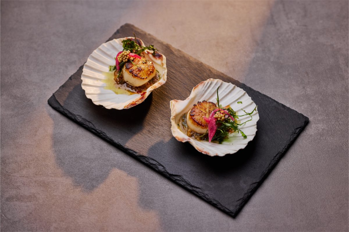 Zwei Schalen mit angerichteten Jakobsmuscheln. Nach der Bild-Bearbeitung sieht es so aus, als seien die Jakobsmuscheln angebraten worden.