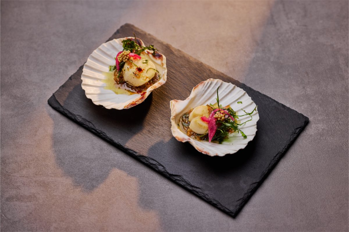 Zwei Schalen mit angerichteten Jakobsmuscheln. Vor der Aufnahme des Fotos wurde vergessen, die Jakobsmuscheln anzubraten. Sie sind blass.