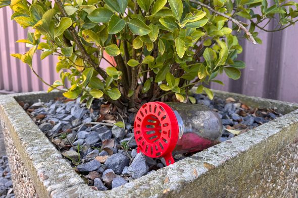 Falle gegen Asiatische Hornisse