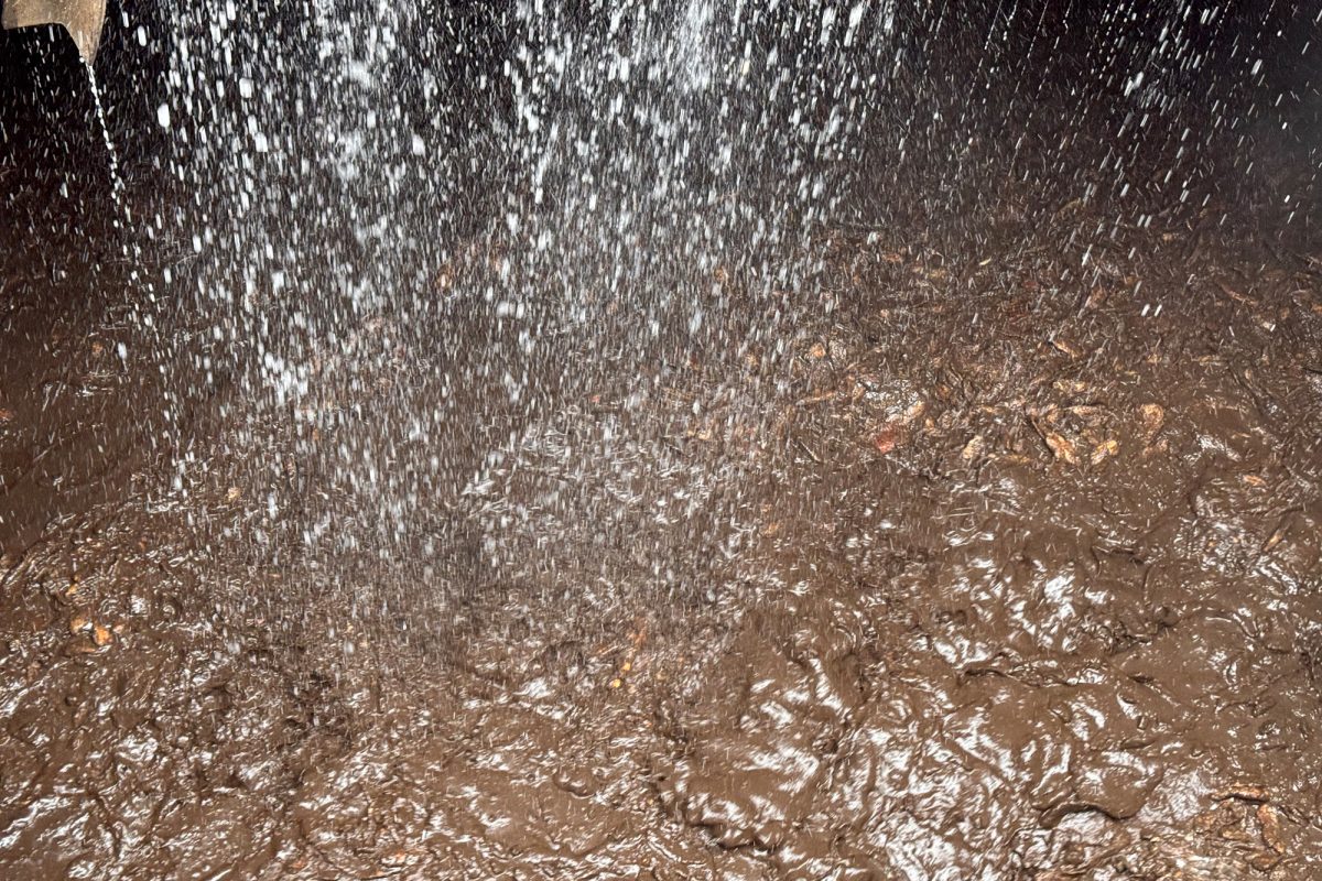 Braune Masse aus Bioabfällen