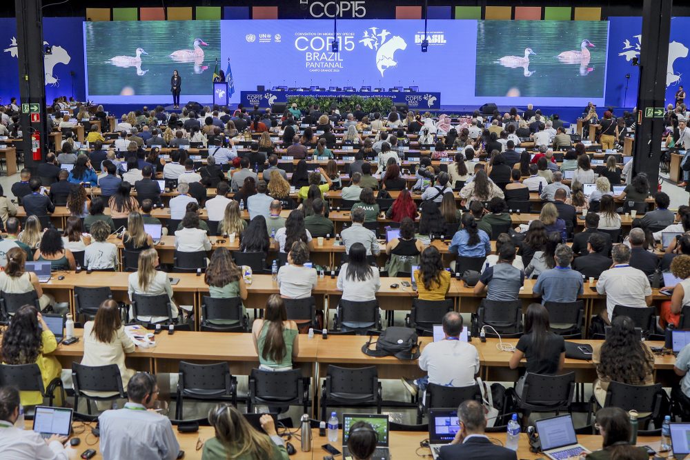 Bild aus dem Konferenzraum, die Teilnehmer sitzen an Tischen und richten ihren Blick auf das Podium vorne