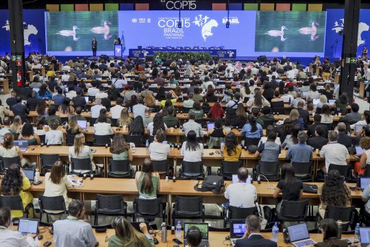 Bild aus dem Konferenzraum, die Teilnehmer sitzen an Tischen und richten ihren Blick auf das Podium vorne
