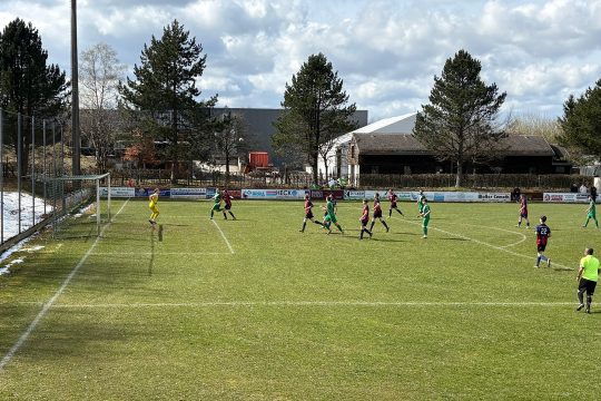 Büllingen - Elsenborn