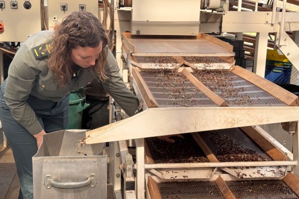 Eleonore Scholzen bei der Arbeit im Comptoir Forestier