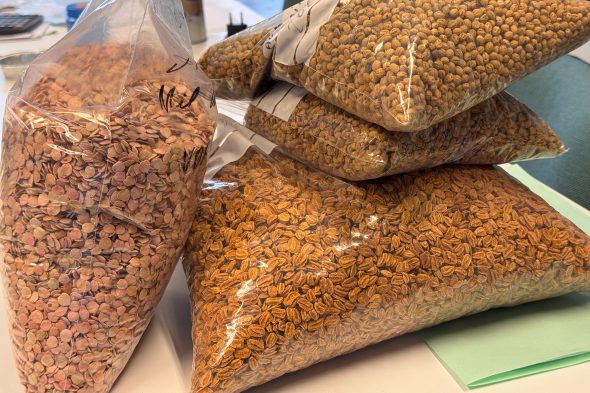 Säcke mit Samen im Comptoir Forestier