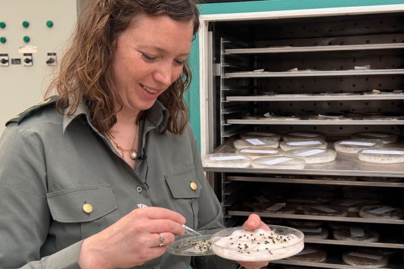 Eleonore Scholzen bei der Arbeit im Comptoir Forestier