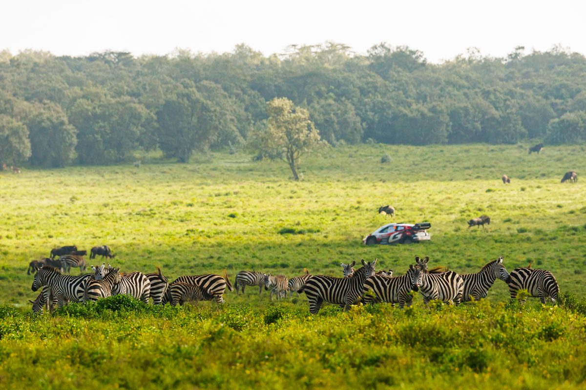 Takamoto Katsuta und Aaron Johnston sind bei der Rallye Kenia auf dem Weg zu ihrem ersten WM-Sieg