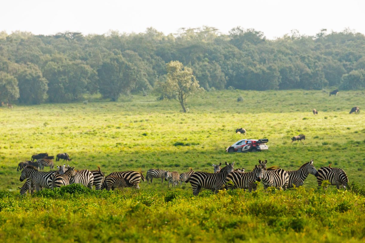 Takamoto Katsuta und Aaron Johnston sind bei der Rallye Kenia auf dem Weg zu ihrem ersten WM-Sieg
