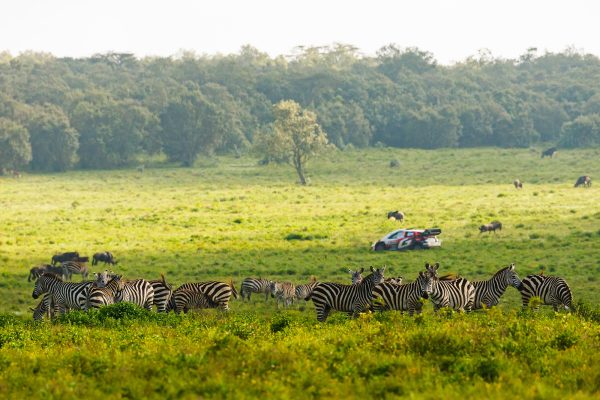 Takamoto Katsuta und Aaron Johnston sind bei der Rallye Kenia auf dem Weg zu ihrem ersten WM-Sieg