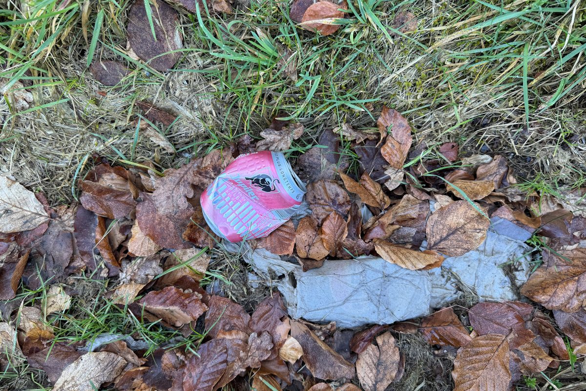 Alte Bierdose im Gras