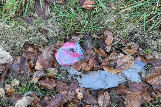 Alte Bierdose im Gras